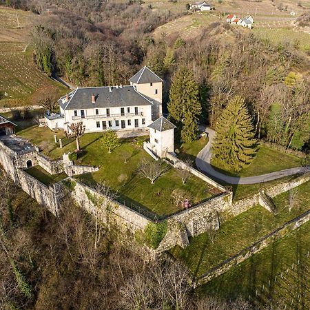Chateau D'Apremont 阿普勒蒙 外观 照片