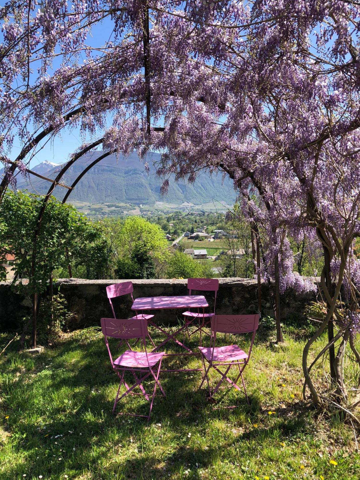 Chateau D'Apremont 阿普勒蒙 外观 照片
